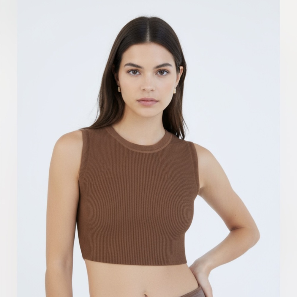 Aritzia- Babaton Chocolate Sleeveless Crop Top
